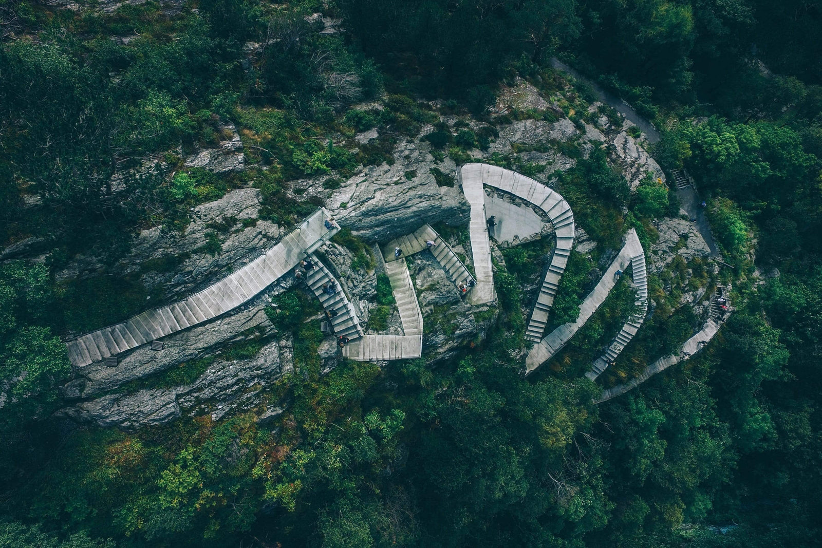 10 Incredibly Innovative Breakthroughs for Forests