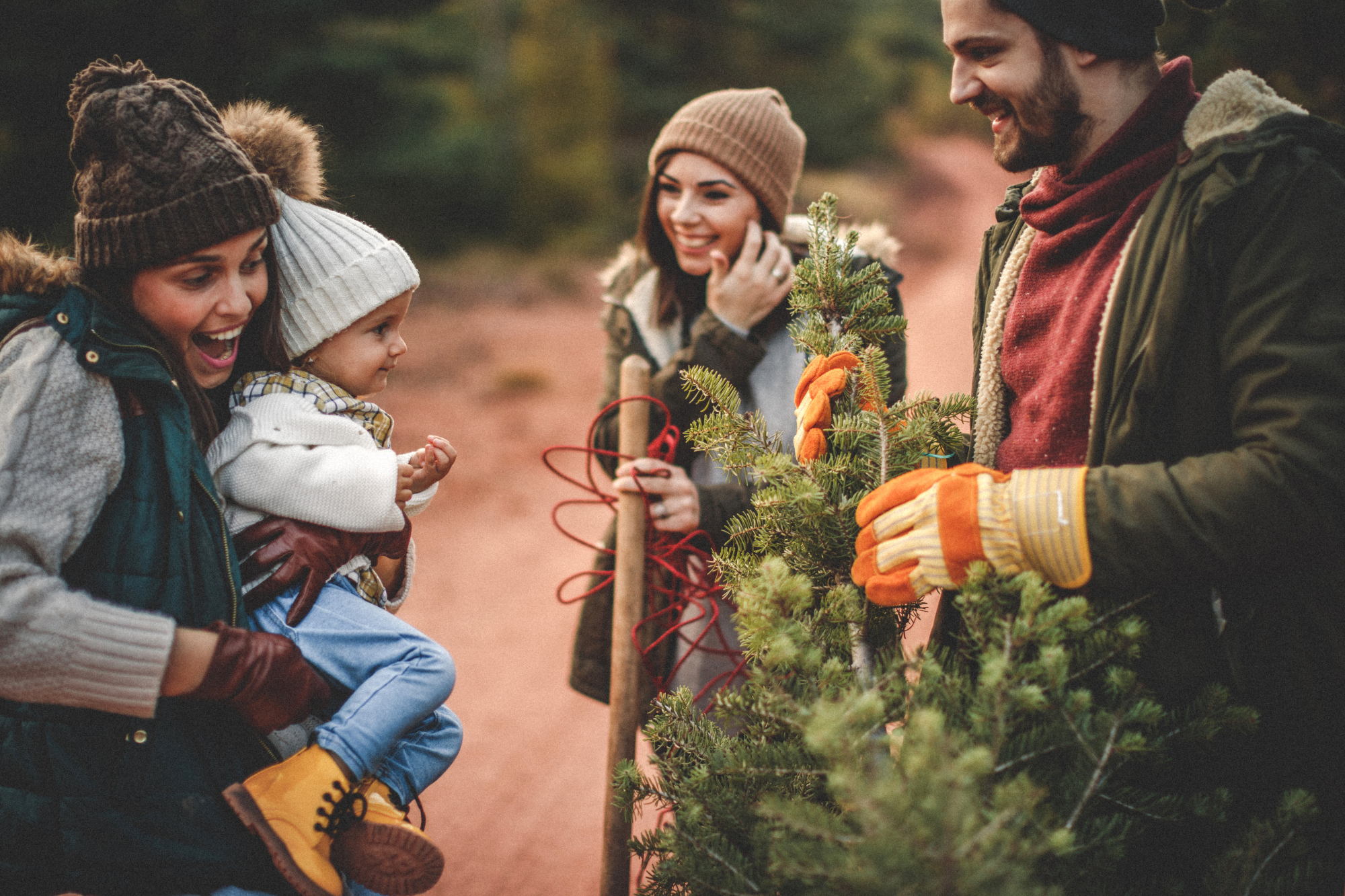 young family christmas tree farm