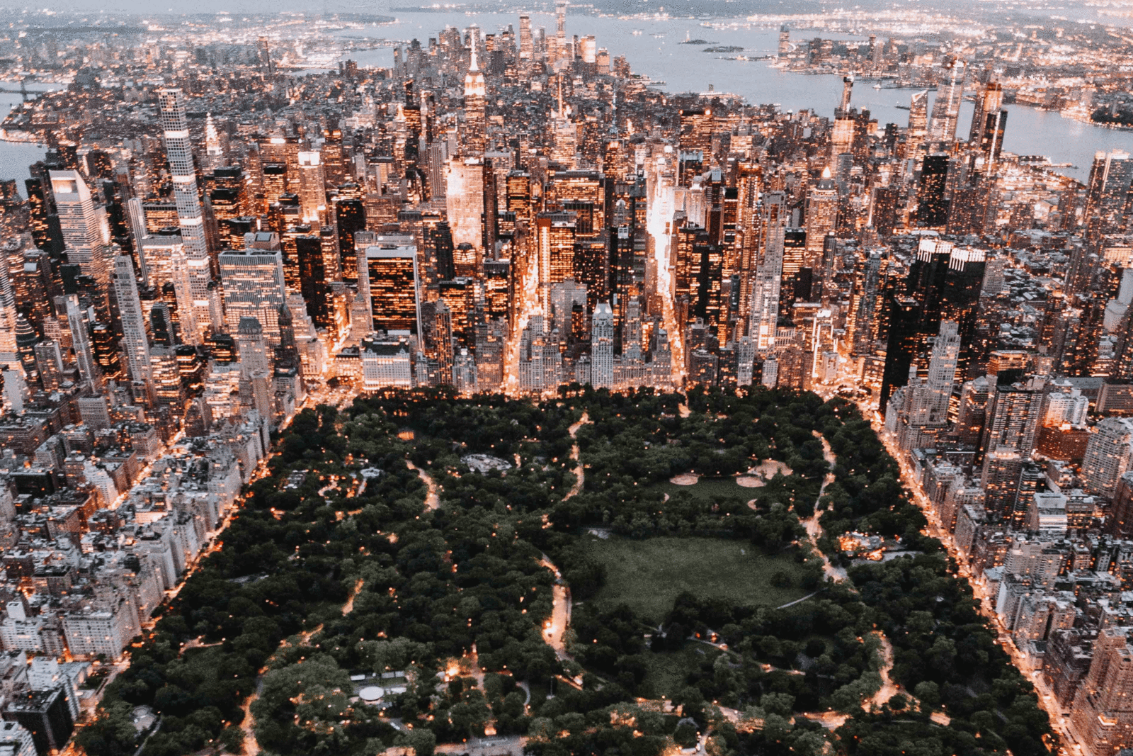 Cities4Forests: Fighting Climate Change Together