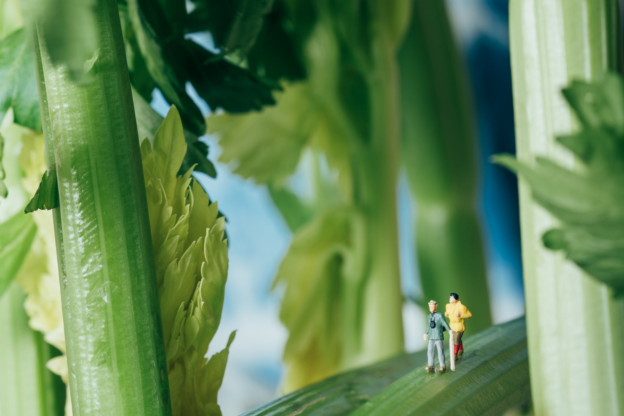 two person figurines standing on stalks of celery made to look like a forest