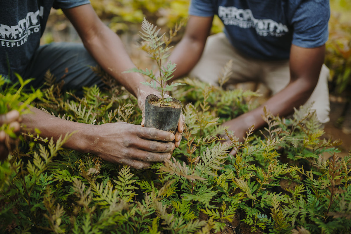 One Tree Planted Wins 1% for the Planet Nonprofit Changemaker Award