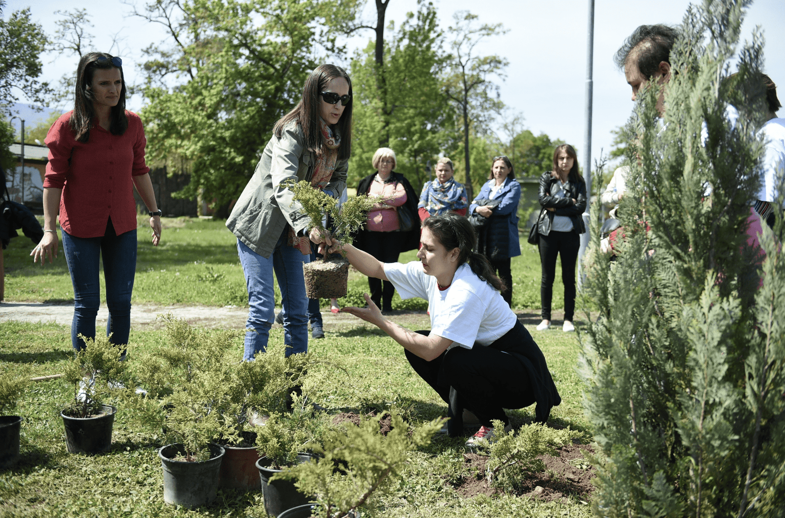 3,300 Trees Planted by Volunteers in Cities Around the World