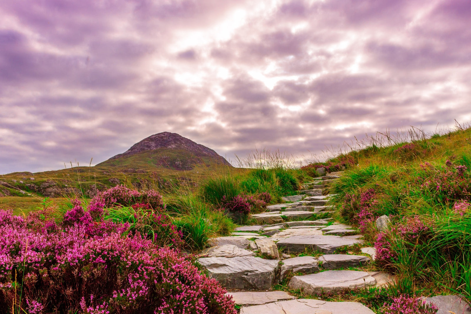 9 Ways to Celebrate St Patricks Day