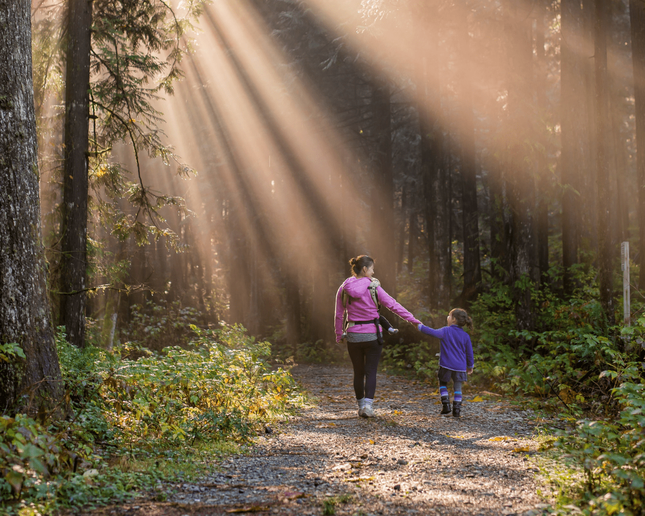 Walking into forest