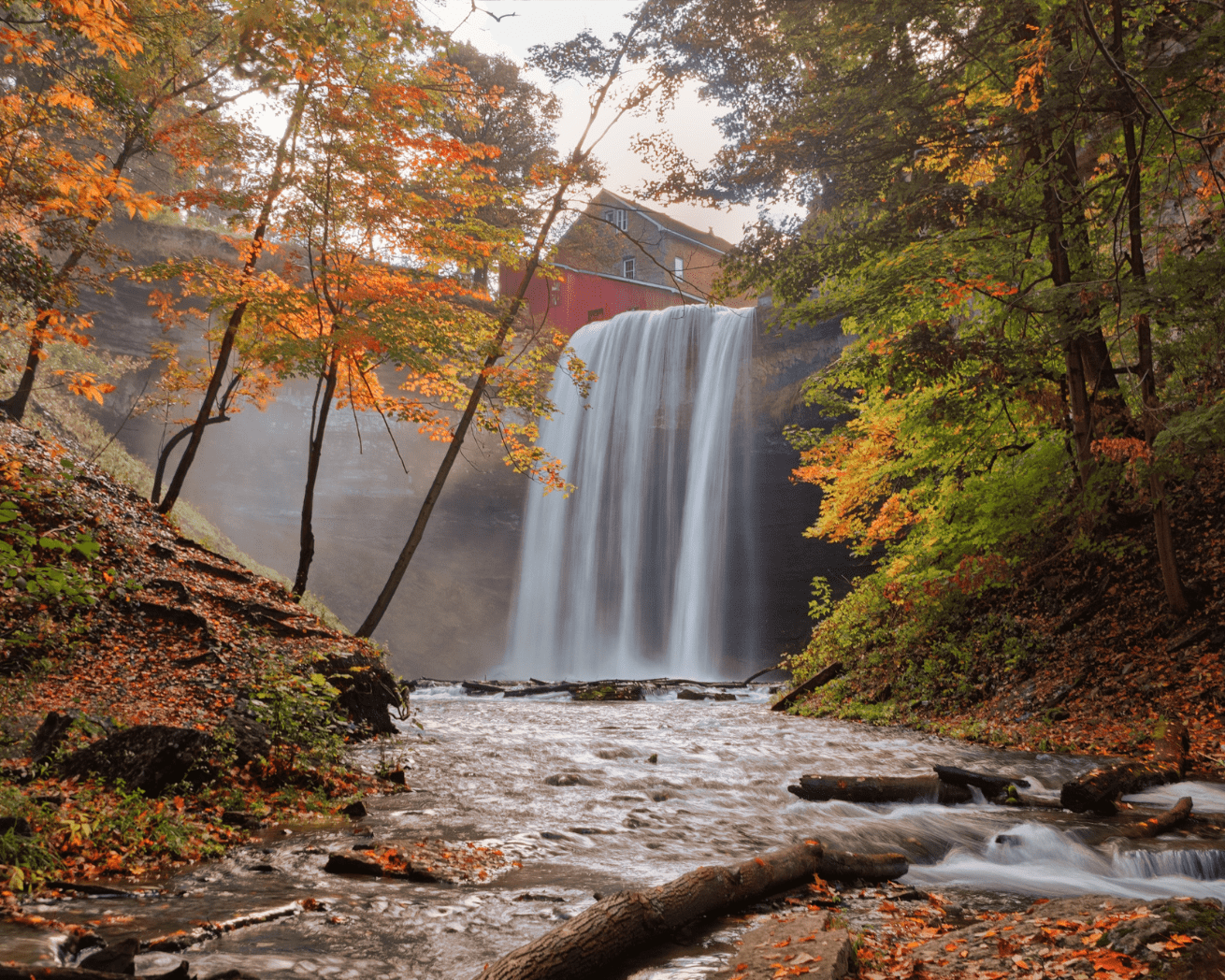 Waterfall and trees