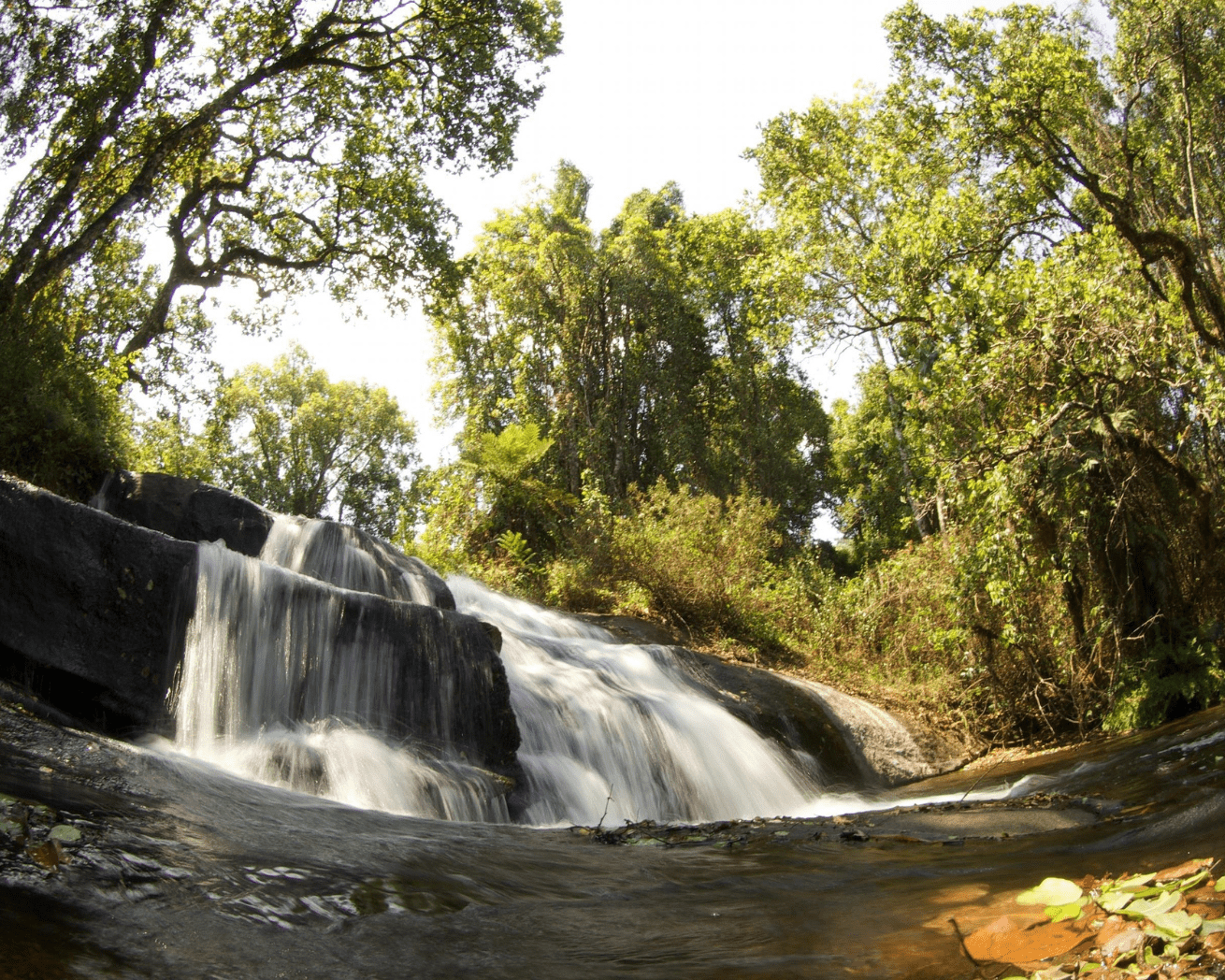 River streams in Malawi