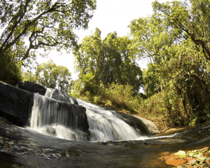 River streams in Malawi