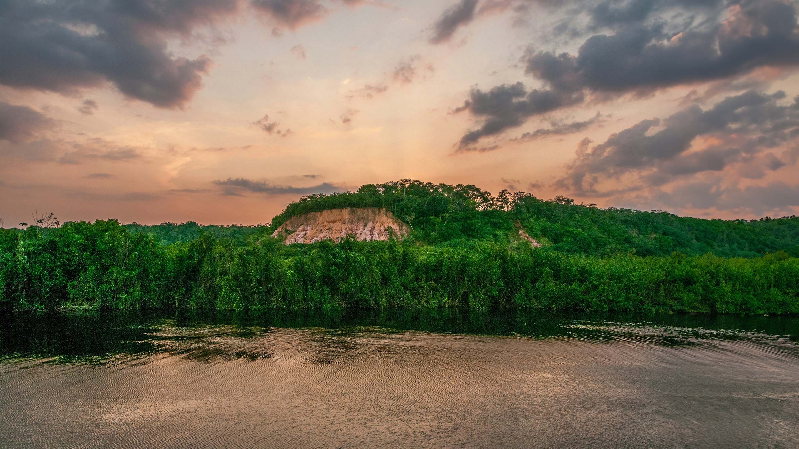 Amazon Rainforest