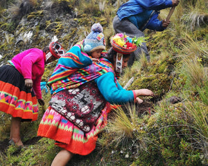 Andes Community-led tree planting