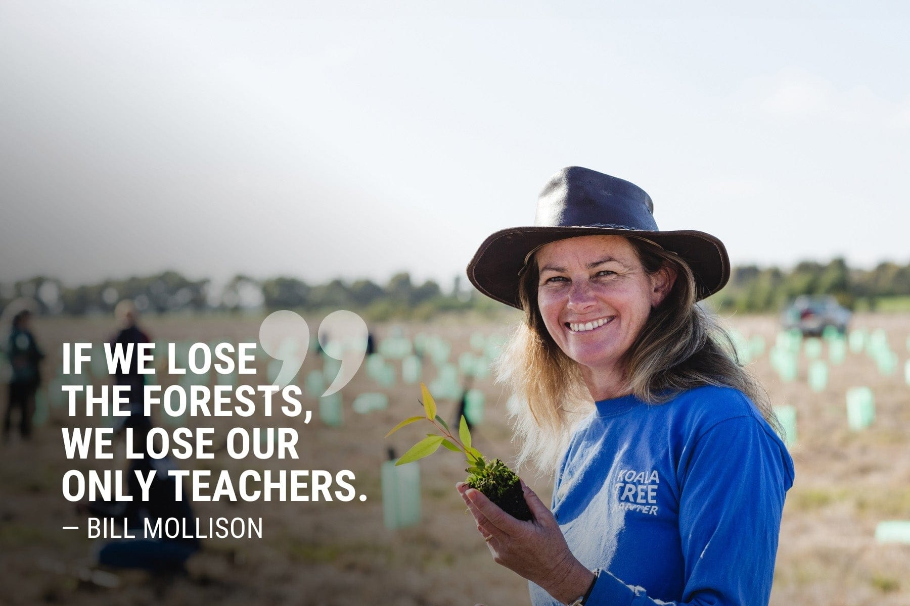 Bill Mollison Quote