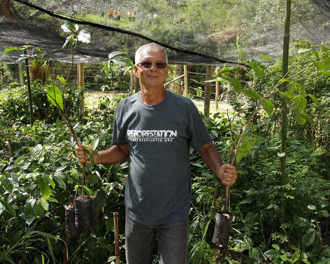 Volunteer wearing Reforestation T-shirt in tree nursery