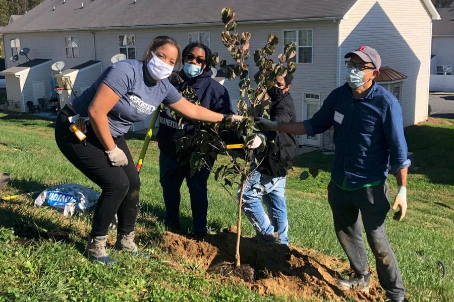 Charlotte King Neighborhood Planting Trees