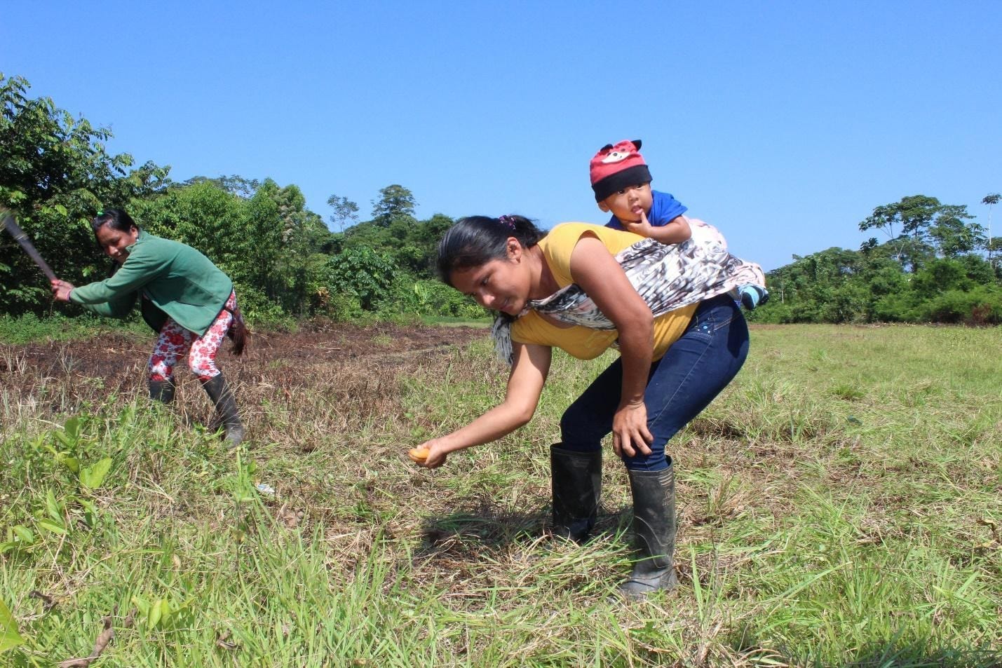 Ecuador 2020 Sapara5