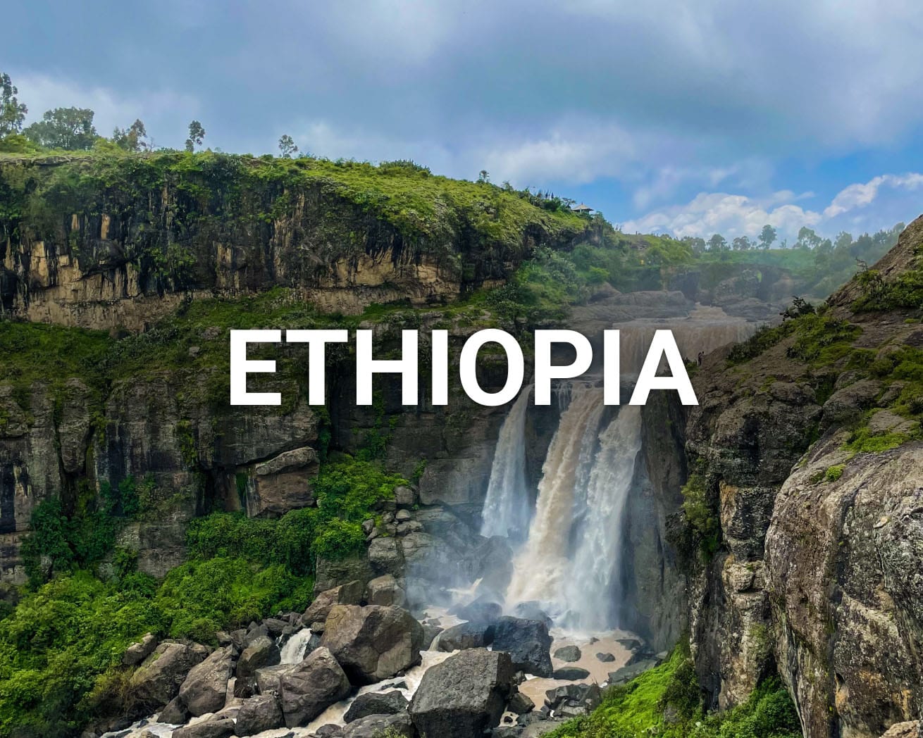 Trees and waterfall in Ethiopia