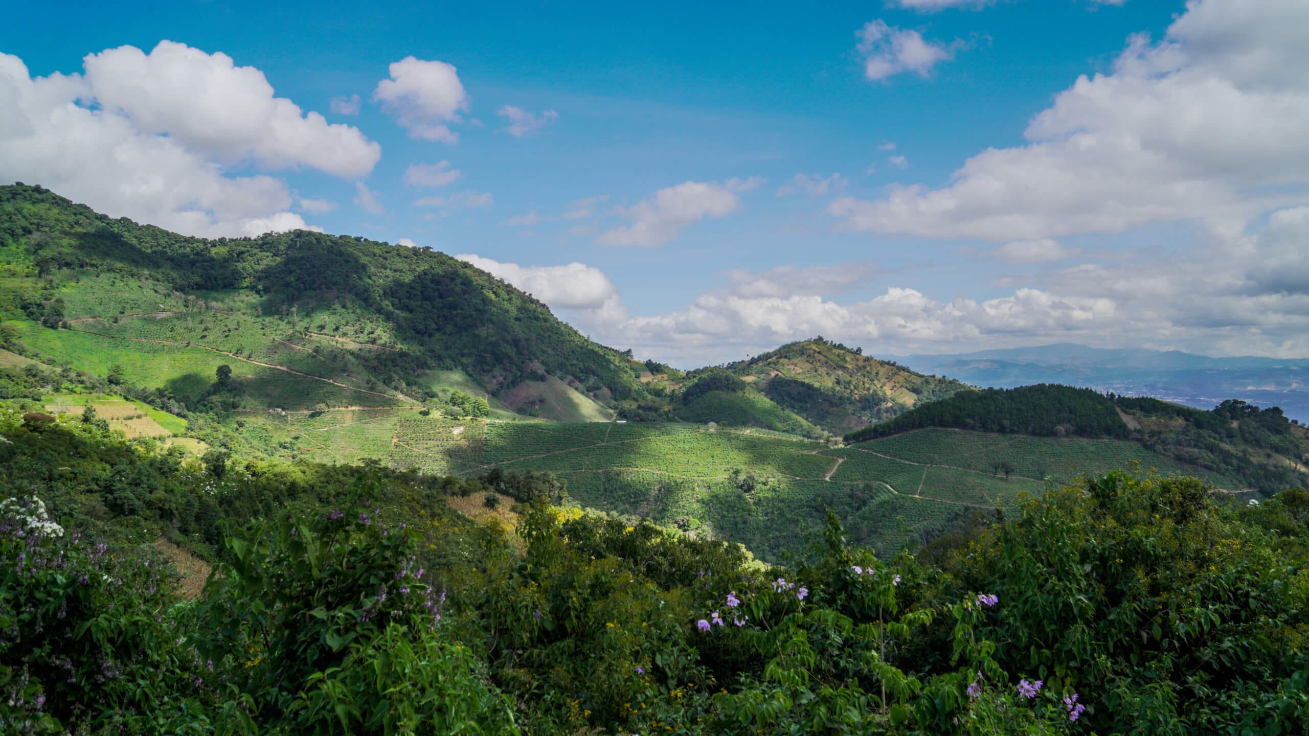 Guatemala valley landscape