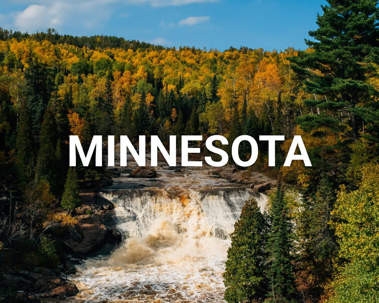 Minnesota main image landscape