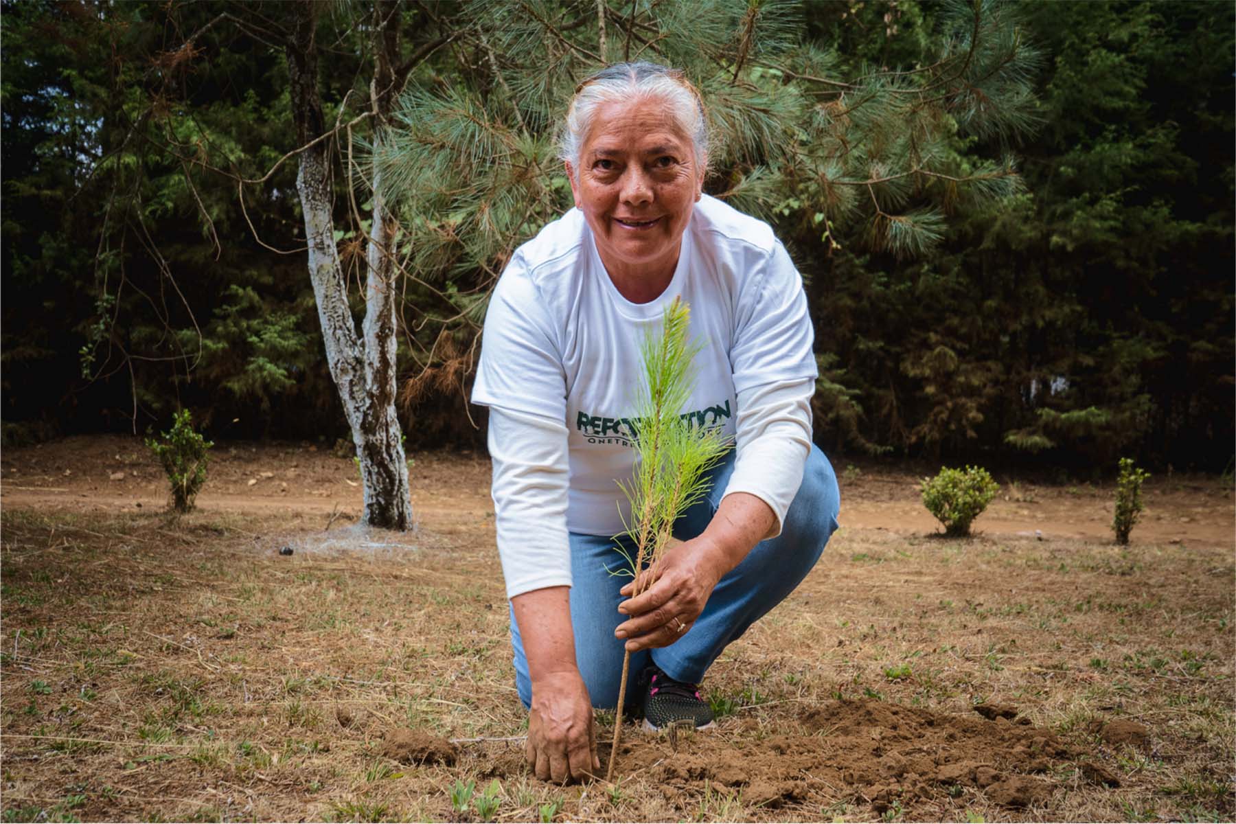 Monarch Restoration Tree Planting