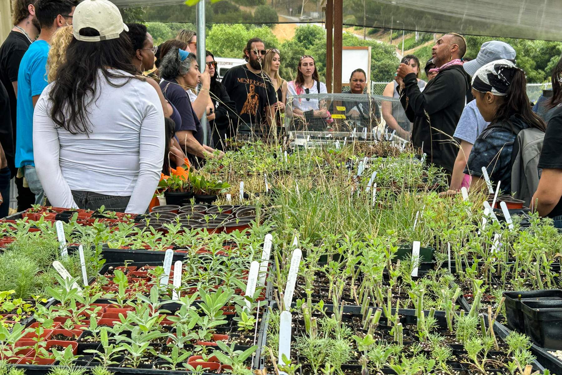 volunteers learning at Ascot Hills Park Nursery