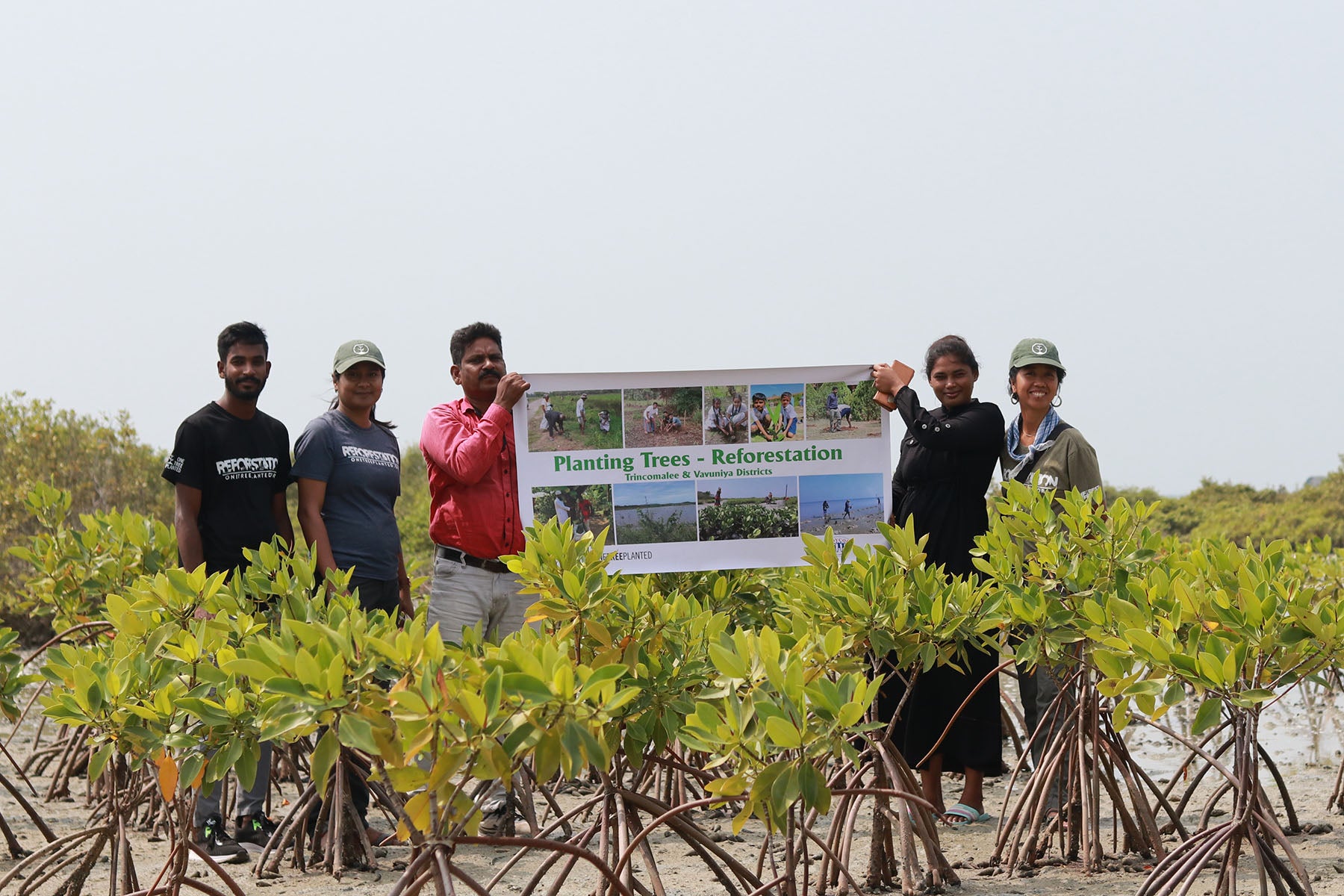 reforestation partner Sri Lanka