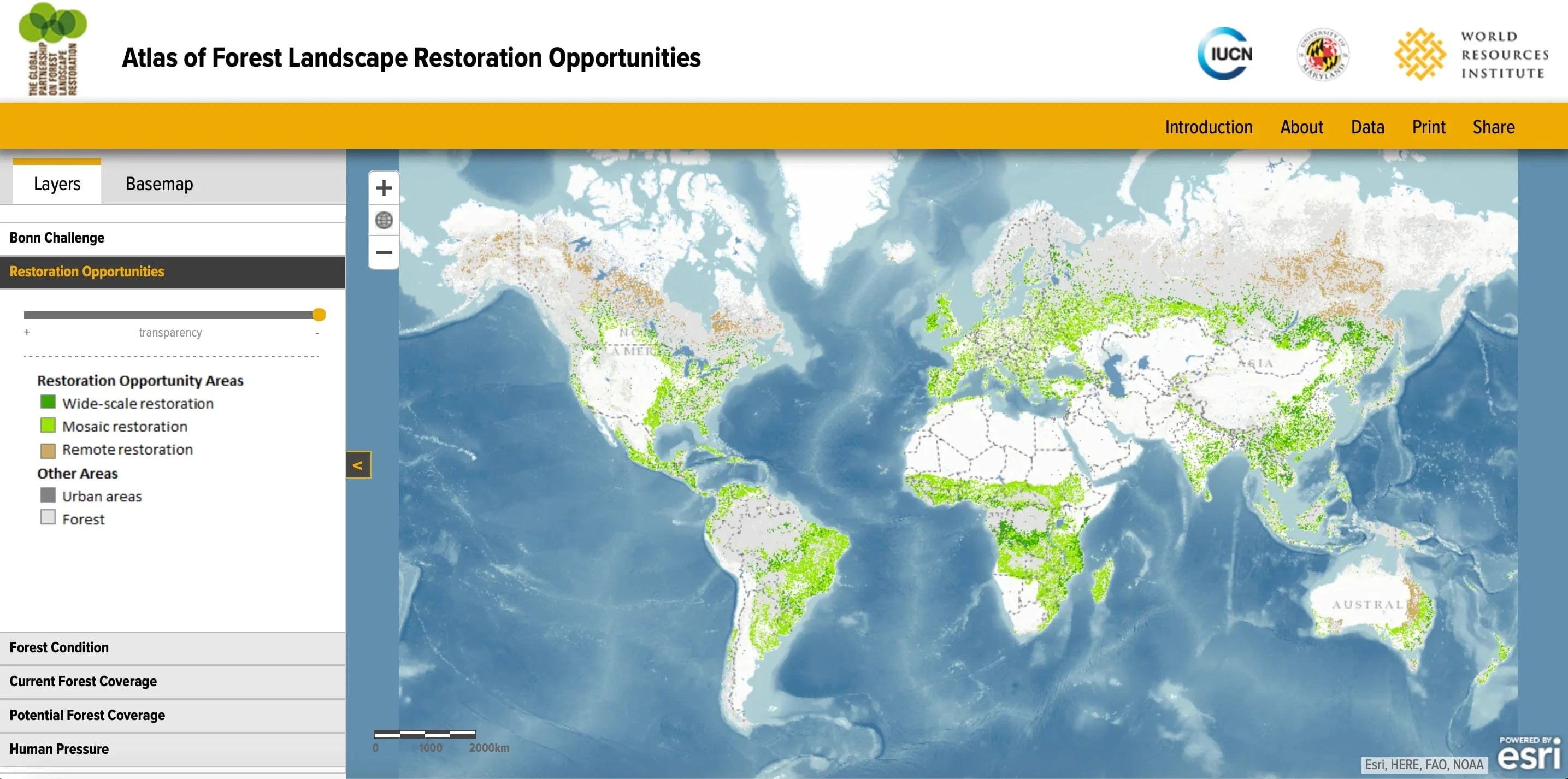 Restoration opportunities