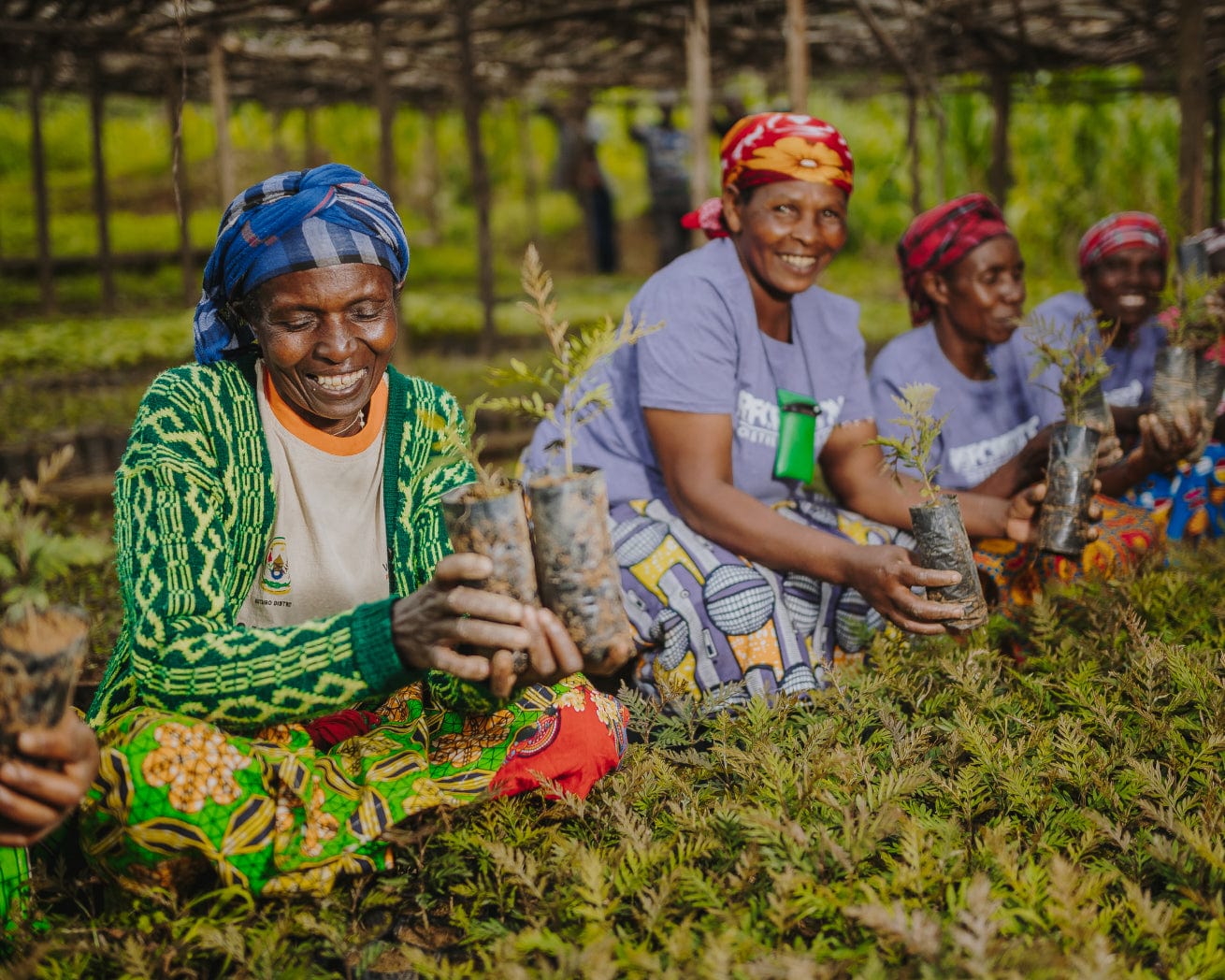 Rwanda planting partners