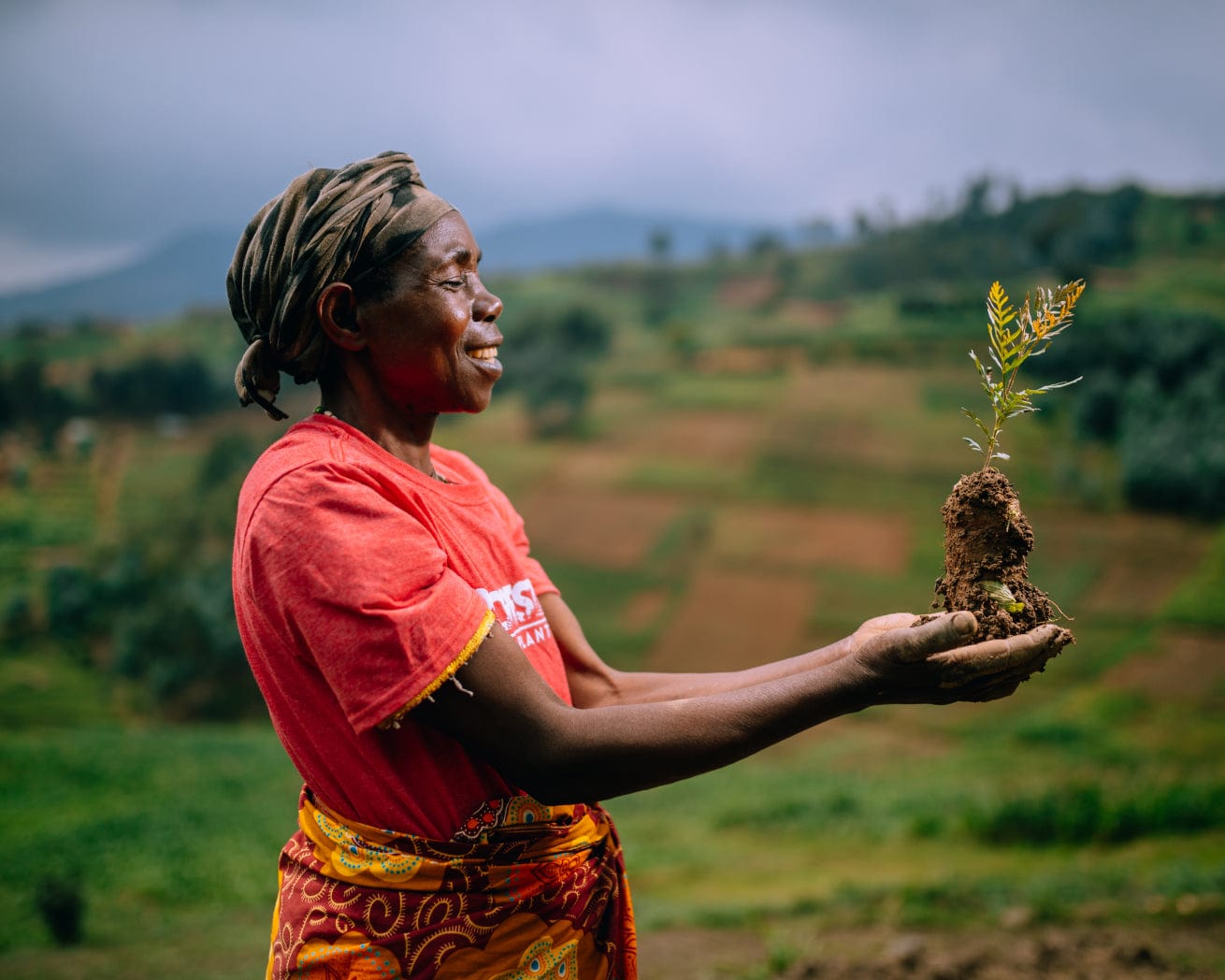 Planting partner holding sapling