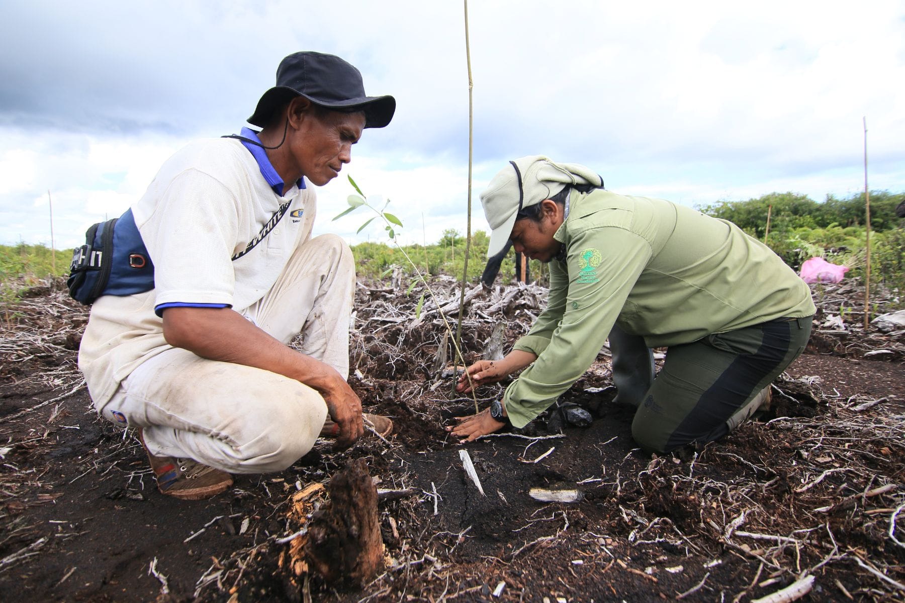 Two people working together to restore peatland by planting a tree