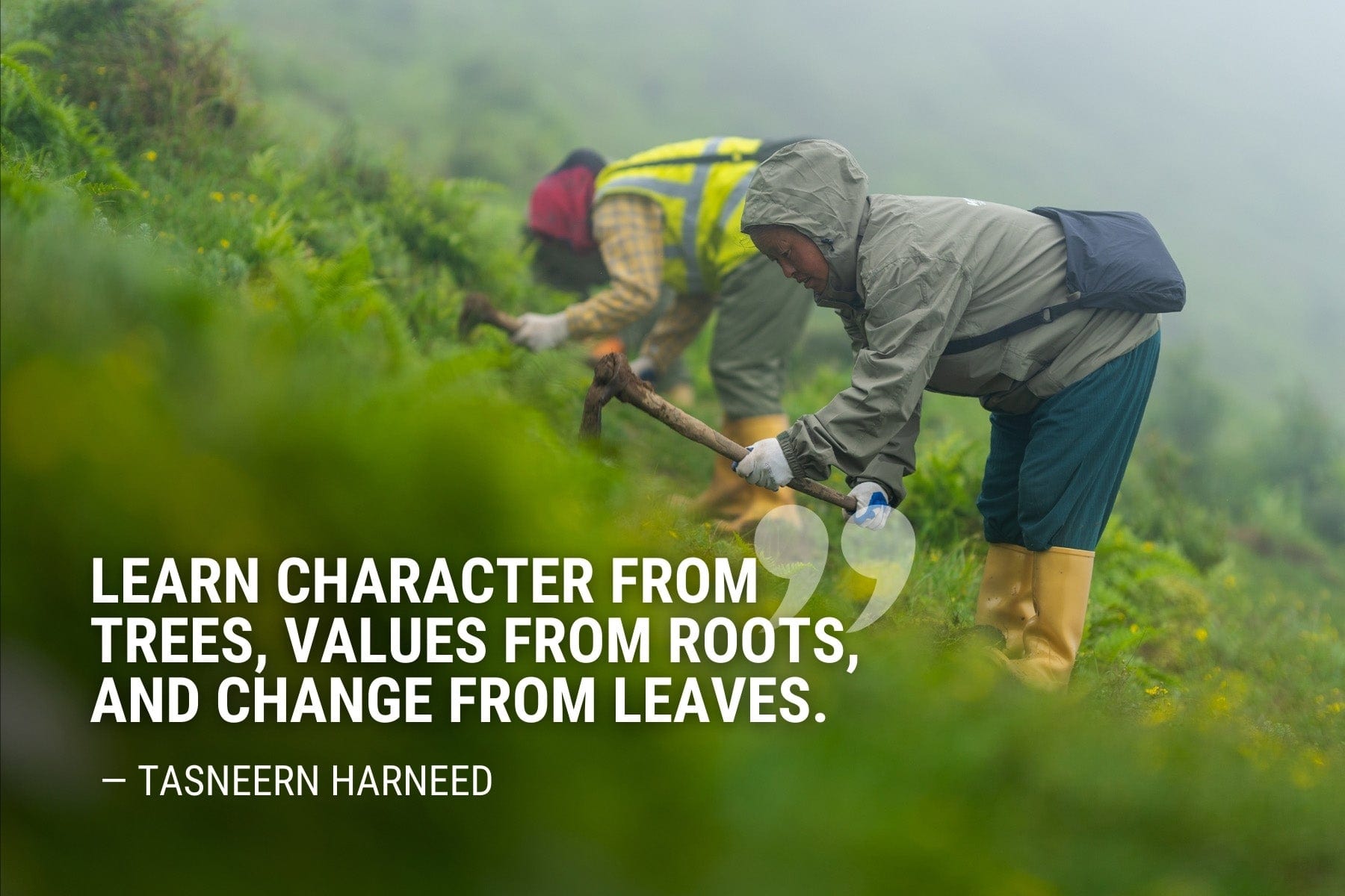 Tasneern Harneed Quote