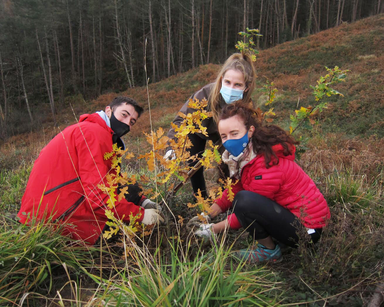 Plant Trees for Impact