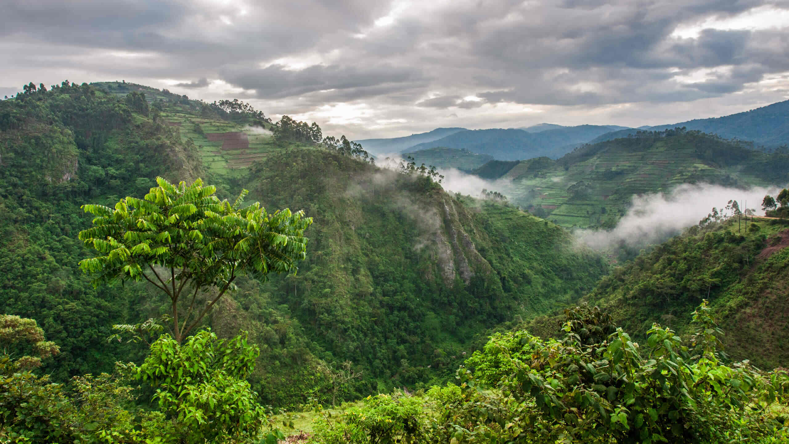 Uganda valley
