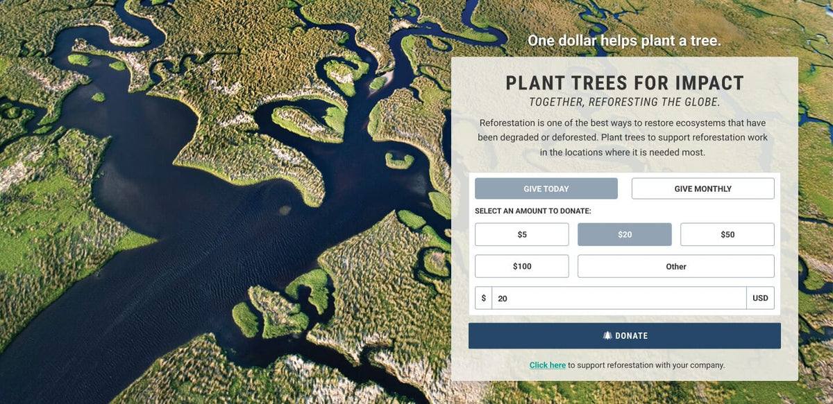 Watersheds running stream in forest