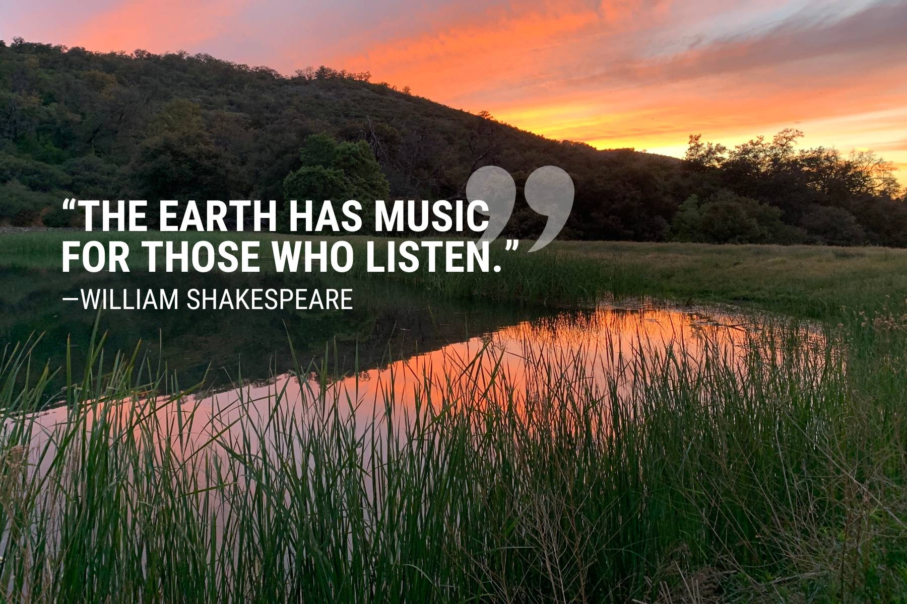 William Shakespeare  Nature Quote