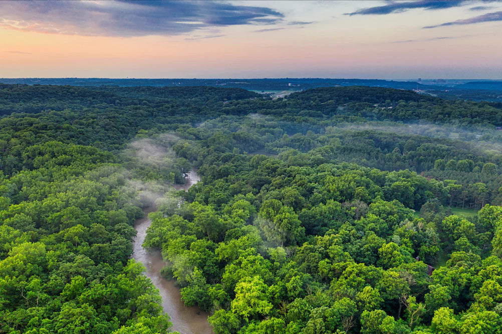 aerial view of forested landscape with river