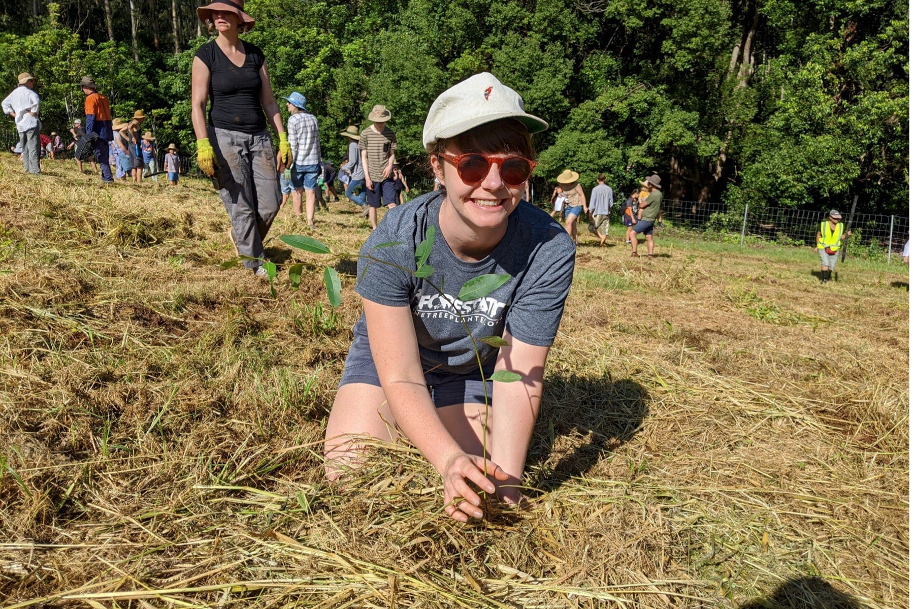 beth from one tree planted planting a tree in australia