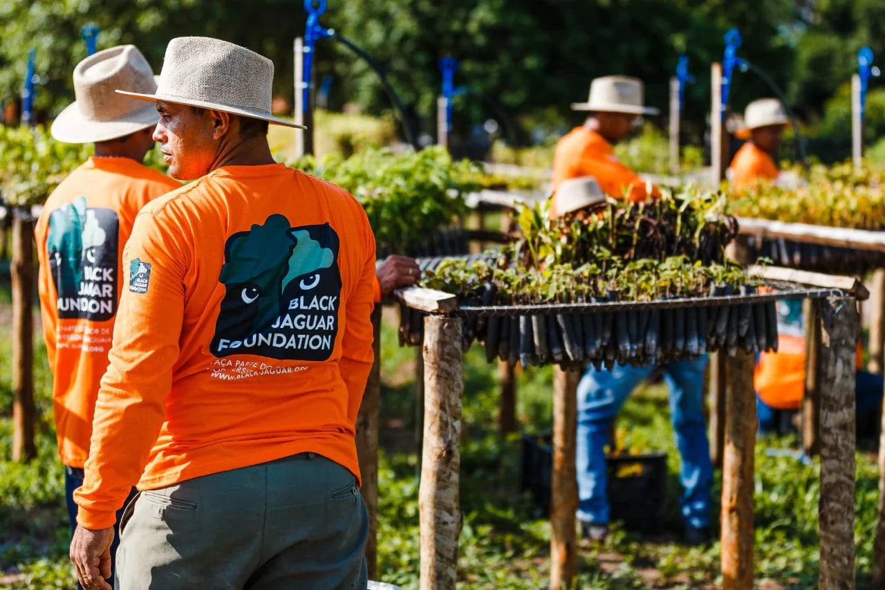 black jaguar foundation nursery