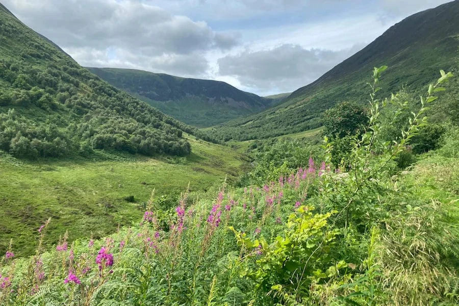 carrifan valley scotland after