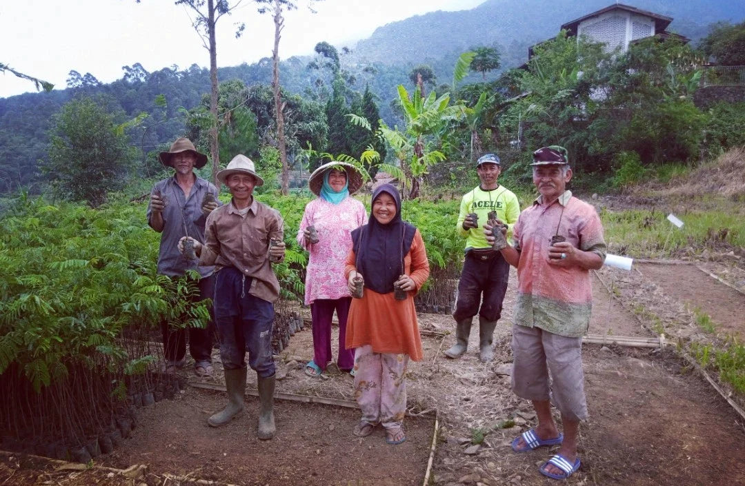 community forestry in citarum river