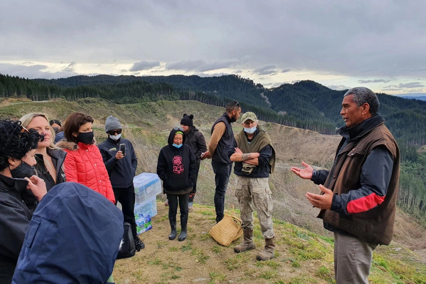 community reforestation new-zealand