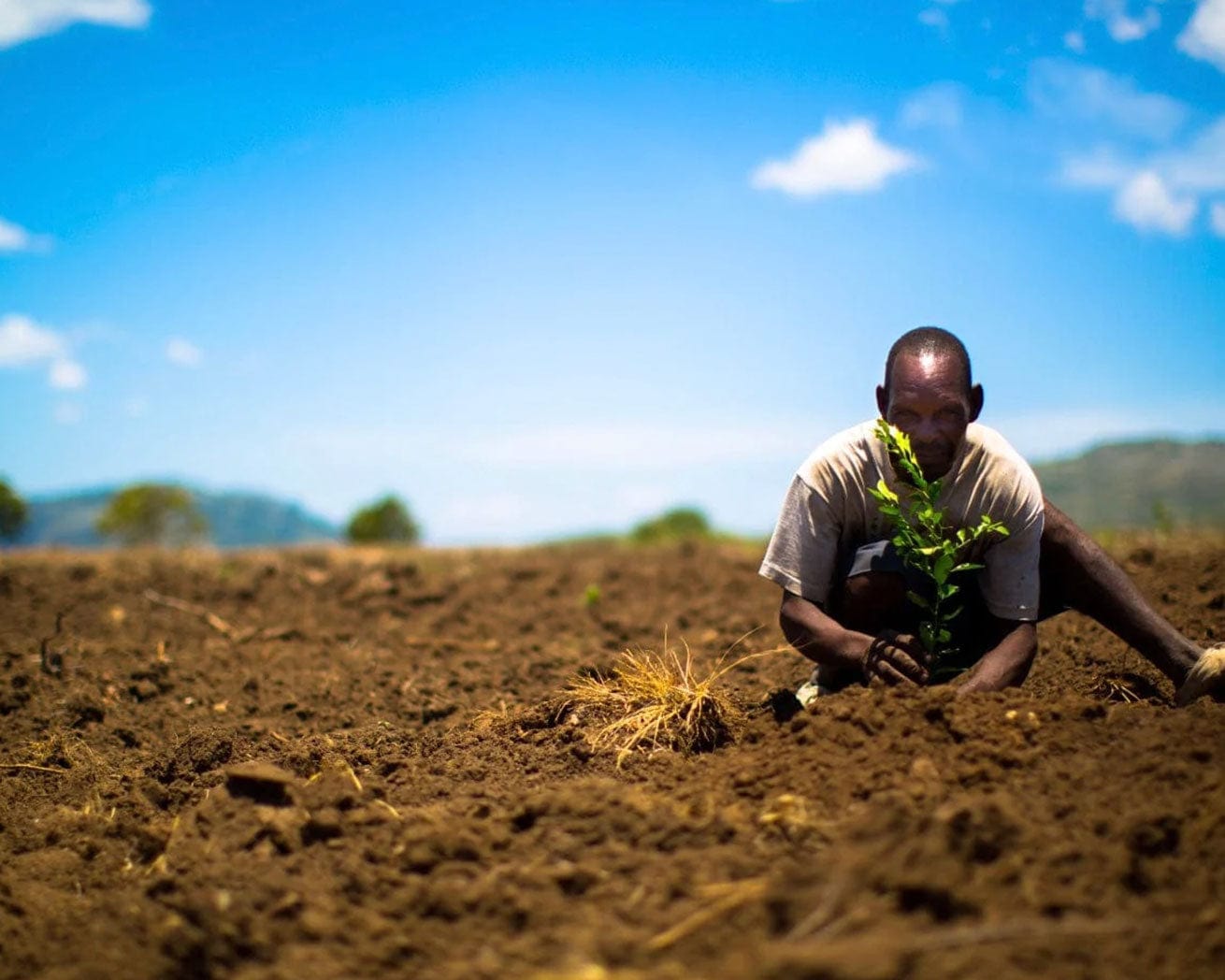 Farmer in Haiti