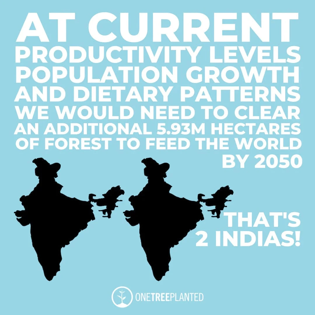 feed the world deforestation