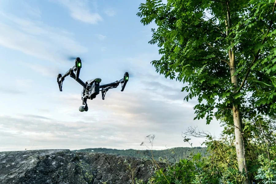 forest drone