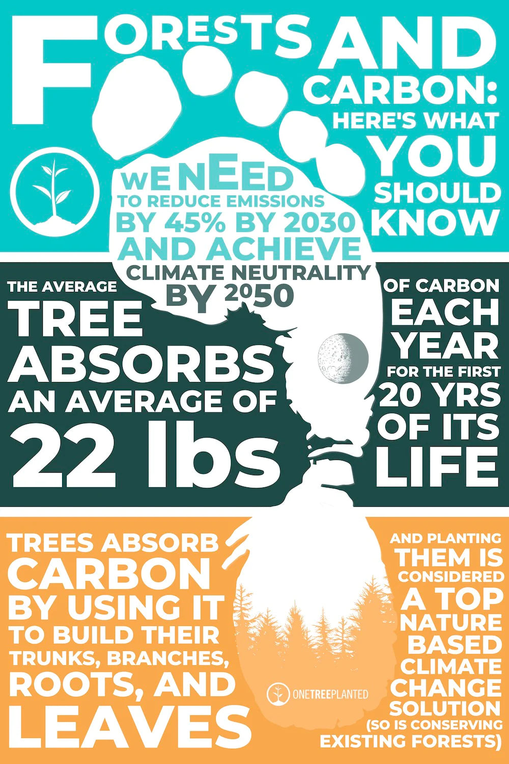forests and carbon infographic