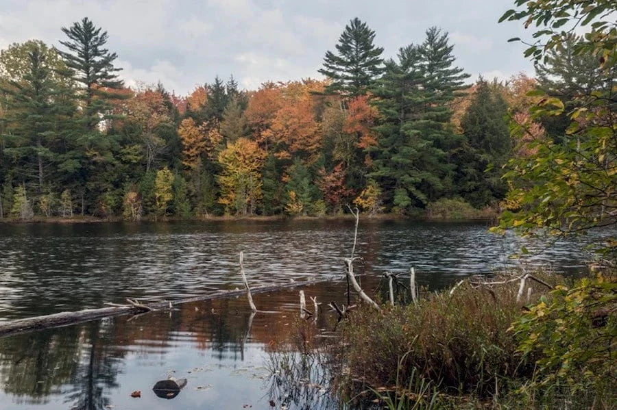 hiawatha national forest