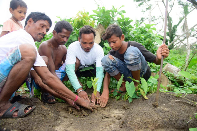 india group planting