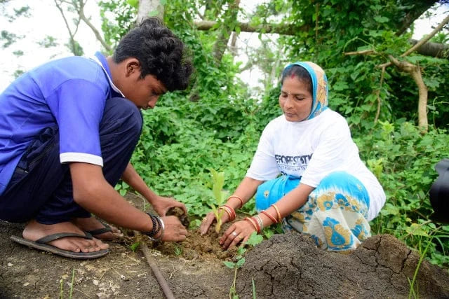 india tree planting