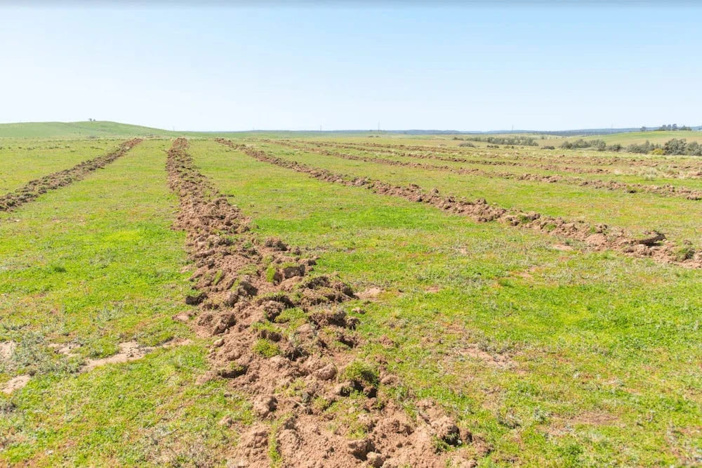 land in australia prepared for reforestation