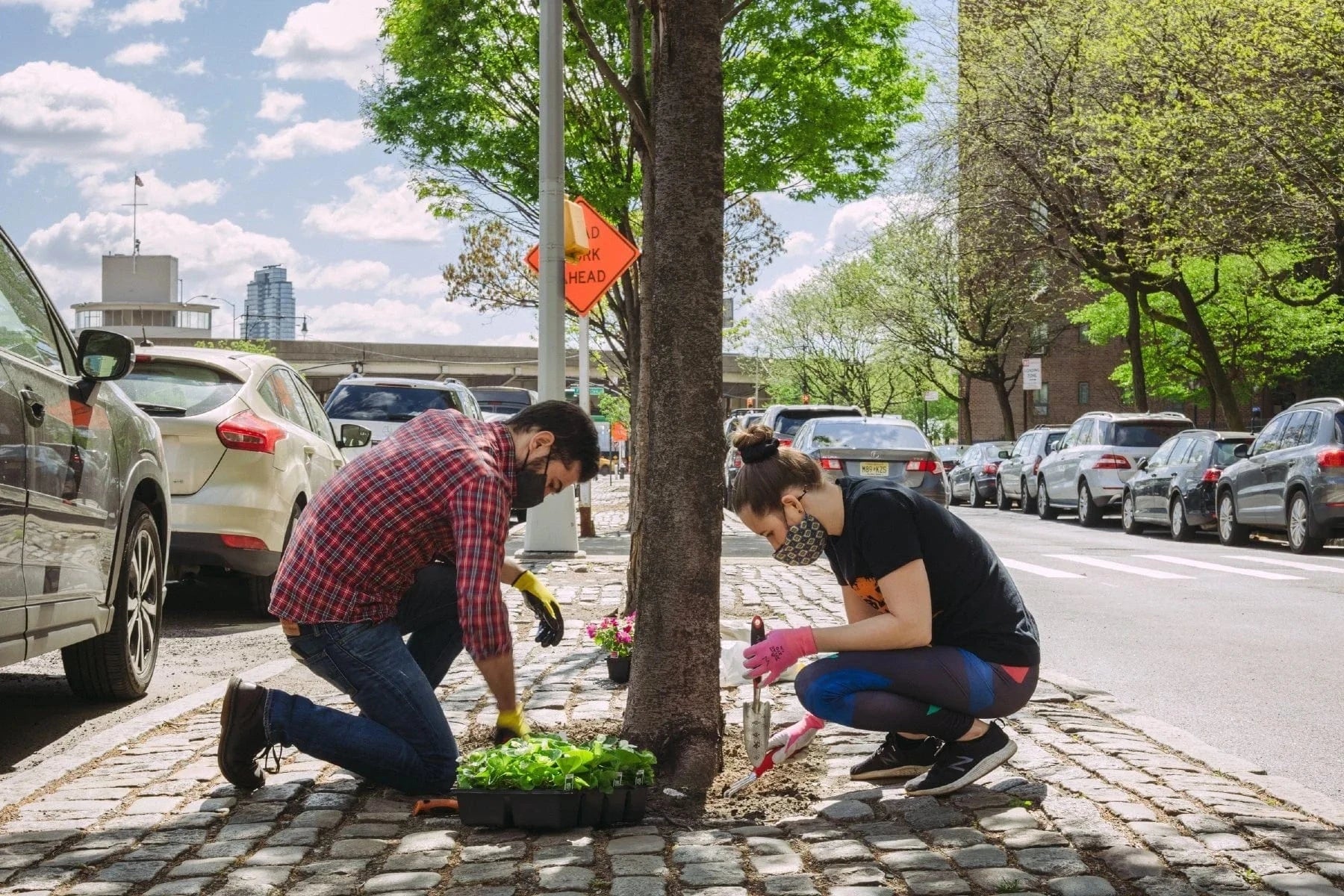 man and women plant starter plants around urban tree