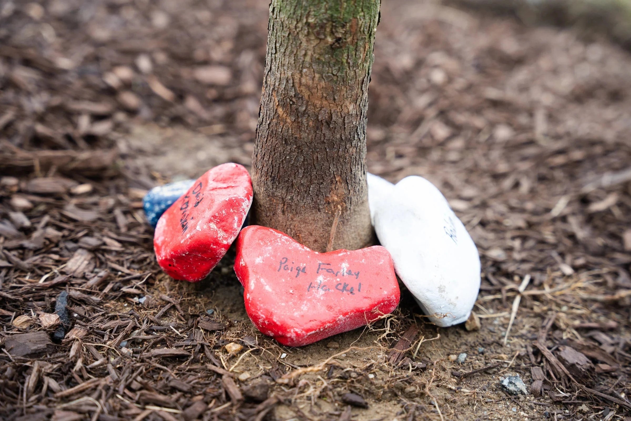 memory rocks of 911 victims