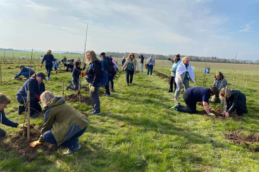 my peak challenge peakers planting trees