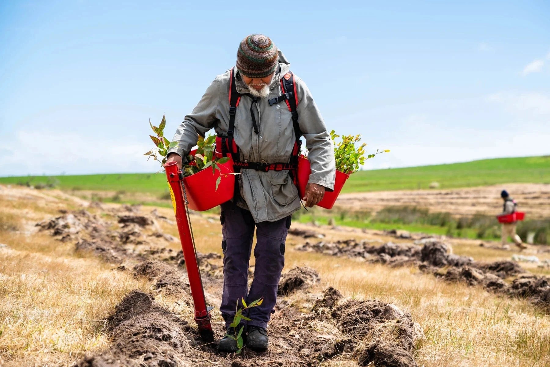 noongar elder eugene eades planting tree